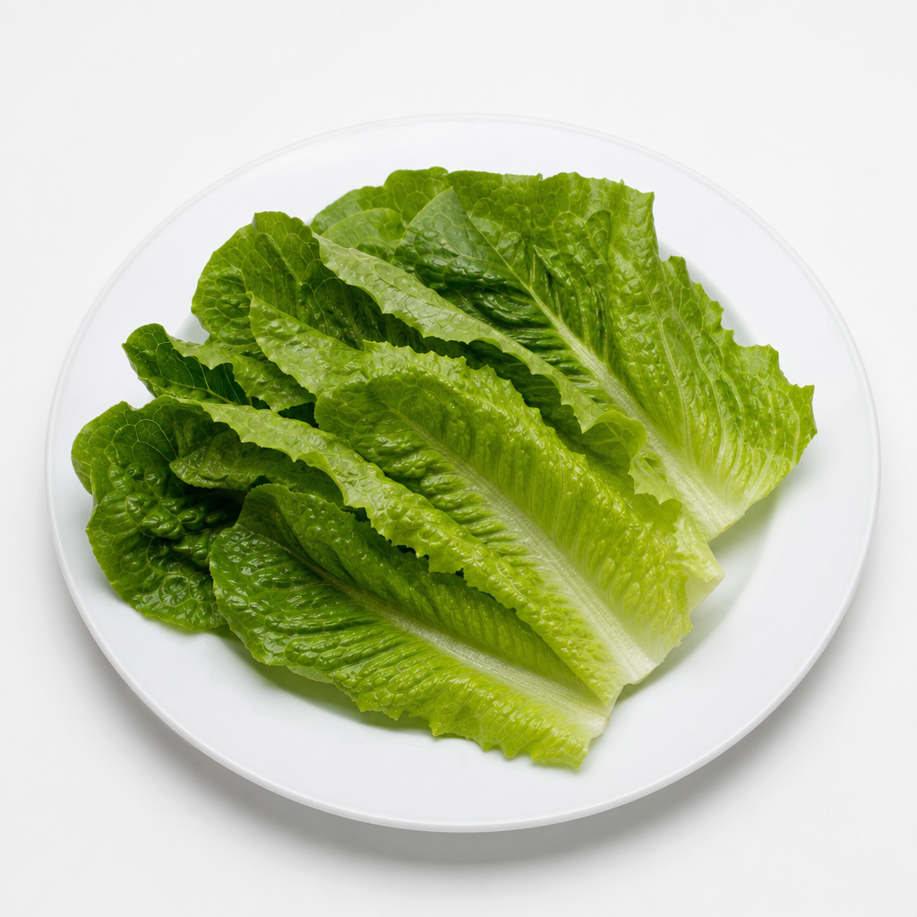 Lechuga romana