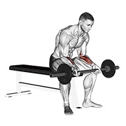 barbell wrist curl v. 2