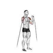 cable alternate shoulder press