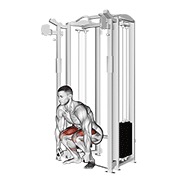 cable deadlift