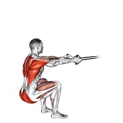 band squat row