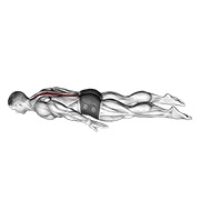 lower back curl