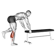 one leg donkey calf raise
