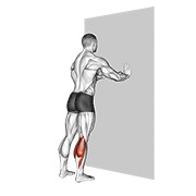 standing calves