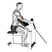cable rope one arm hammer preacher curl