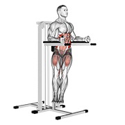 twisted leg raise