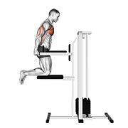assisted chest dip (kneeling) animación