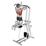 assisted parallel close grip pull-up animación