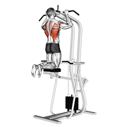 assisted pull-up animación