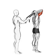 assisted standing triceps extension (with towel) animación