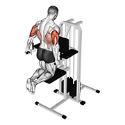 assisted triceps dip (kneeling) animación