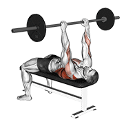 barbell pullover to press animación