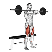 barbell bench front squat animación