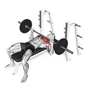 barbell bench press animación