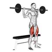 barbell bench squat animación