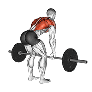 barbell bent over row animación