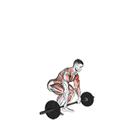 barbell clean and press animación