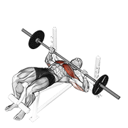 barbell decline bench press animación