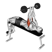 barbell decline close grip to skull press animación