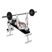 barbell decline wide-grip pullover animación