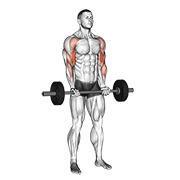 barbell drag curl animación