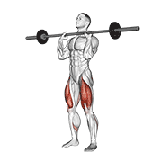 barbell front chest squat animación