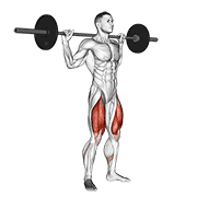 barbell full squat animación