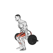 barbell hack squat animación