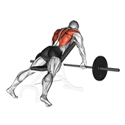 barbell incline row animación