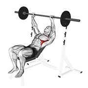 barbell incline shoulder raise animación