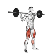 barbell jump squat animación