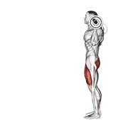 barbell lunge animación
