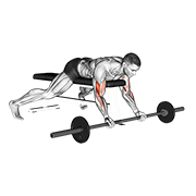 barbell lying preacher curl animación