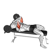 barbell lying triceps extension skull crusher animación