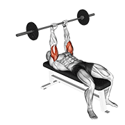 barbell lying triceps extension animación