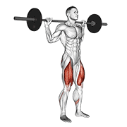 barbell narrow stance squat animación