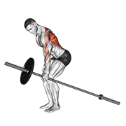 barbell one arm bent over row animación