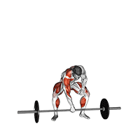 barbell one arm snatch animación