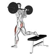 barbell one leg squat animación
