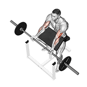 barbell preacher curl animación