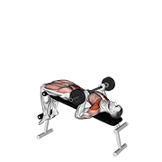 barbell press sit-up animación