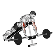 barbell prone incline curl animación