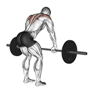 barbell rear delt row animación