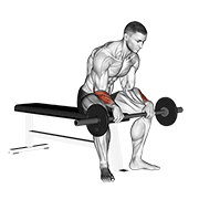 barbell revers wrist curl v. 2 animación