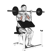barbell reverse preacher curl animación