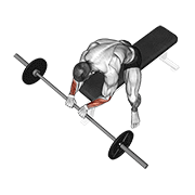 barbell reverse wrist curl animación