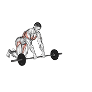 barbell rollerout animación