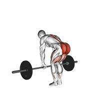 barbell romanian deadlift animación