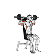 barbell seated bradford rocky press animación