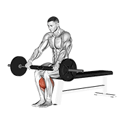 barbell seated calf raise animación
